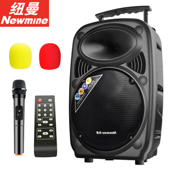 
                                        纽曼 12英寸大功率广场舞音响 户外移动蓝牙拉杆音箱 便携式舞台低音炮扩音器 畅销KW213系列-单麦克风版                