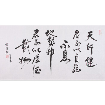 带合影 第七届道教协会会长 任法融《天行健》