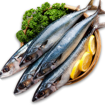 速鲜 冰岛新鲜冷冻青花鱼 整条 400-600g 1条 袋装