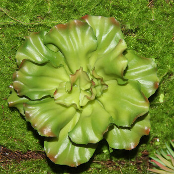 私人定制 3扇屏风 仿真植物折叠屏风 兰花热带植物隔断屏风 地中海风格工艺品摆 定制屏风