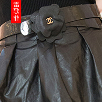雷歌菲 2014秋冬新款修身半身裙性感百褶休闲百搭甜美网纱短蓬蓬裙女0245 黑色 L