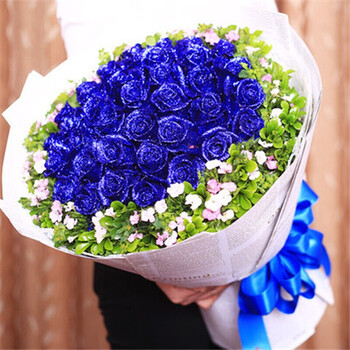 红玫瑰花束爱情爱人表白求婚生日鲜花速递同城花店送花上门 33朵蓝