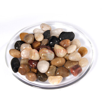 千姿秀鹅卵石雨花石五彩石天然沙石 室内小盆栽花盆装饰 精品五彩0.