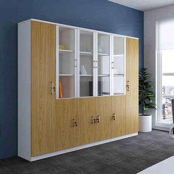 办公文件柜简约现代公司资料柜档案柜木质 6门柜 6门书柜_现价-1元