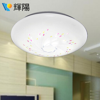 輝陽LED吸顶灯12W16W22W烟花 现代简约书房餐厅厨房阳台过道玄关灯具正白光 12W正白光-直径27cm
