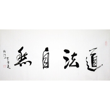 中国道教协会会长  任法融 《道法自然》