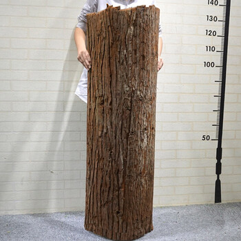 花瓶仿真树皮包管道下水管柱子暖气管子假树皮造景遮挡装饰防腐真树皮