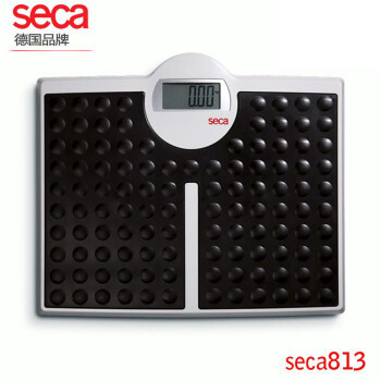 seca 德国赛康813 seca813 电子人体秤200kg/100g家用体重秤健康秤