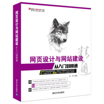 网页设计与网站建设从入门到精通(附光盘)/清华社视频大讲堂大系