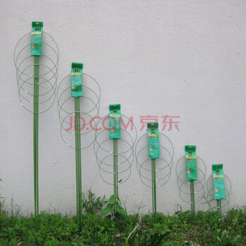 盆栽固定铁环花架藤蔓爬藤架花盆支架铁环花支柱球兰花架高60cm 图片价格品牌报价 京东