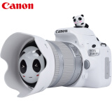 佳能（Canon）EOS 200D二代 入门级单反相机 数码相机 学生颜值款家用高清旅游照相机 200D II 18-55mm IS STM 白色 64G卡高速卡豪华套餐【套餐二】