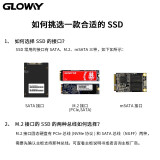 光威（Gloway）240GB SSD固态硬盘 SATA3.0接口 悍将系列-畅快体验高速存储