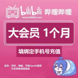 哔哩哔哩大会员月卡 b站vip bilibili月度大会员一个月卡账号填手机号