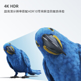 长虹 55D4PS 55英寸智能语音 4KHDR 手机投屏 全面屏平板液晶LED电视机（黑色）