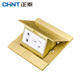 正泰（CHNT）NED1-30800 大盖板弹起式阻尼慢起地板插座 黄铜家用地插插座 方形120*120