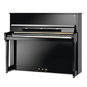 SCHIMMEL S-2A