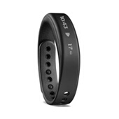 佳明 vivosmart