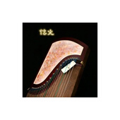 炫光 W501