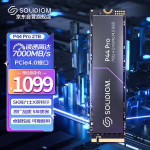 SOLIDIGMSSDPFKKW020X7X1】SOLIDIGM P44 Pro 2TB 高性能版SSD固态硬盘M