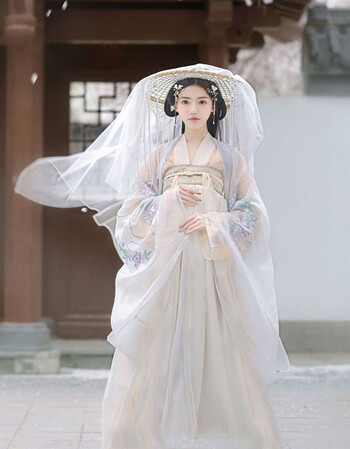 白知音传统汉服古装女日常广袖中国风齐胸襦裙古风秋装 白知音 xs
