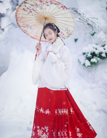 汉尚华莲传统汉服女装日常百搭秋冬双层朦胧立领袄裙上袄白雪色 白色