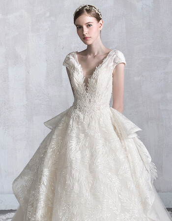 婚纱礼服2018新款公主新娘性感v领欧美宫廷长拖尾冬季一字肩 齐地婚纱