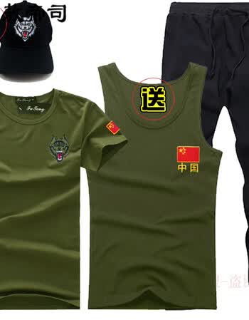 裤战狼特种兵t恤长裤运动体能短袖套装 夏季作训军迷服装户外男军装