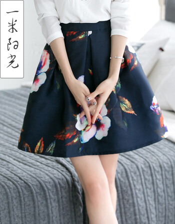一米阳光  2015秋装新款女装  韩版修身百搭印花百褶半身裙女 藏青色 L