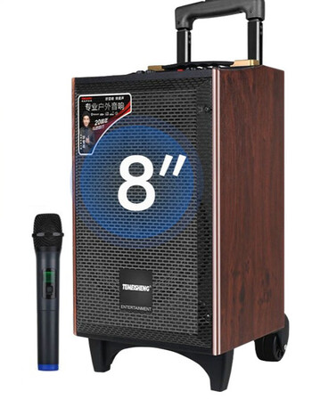 特美声(temeisheng)a8-2t/a8-24/a10-24户外拉杆音响大喇叭低高音sn1