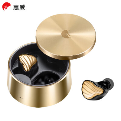 惠威(HiVi)AW-75 无线蓝牙耳机 真无线HiFi耳机 蓝牙5.2长续航支持通话降噪 鎏金