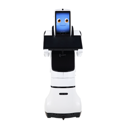 派宝（padbot） 商用迎宾导览讲解双屏机器人X2 自主导航轻松载入软件二次开发打造专属行业机器人 白色(基础导航版)