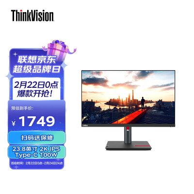 联想ThinkVision 23.8英寸2K IPS Type-C 100W 硬件低蓝光护眼屏  升降旋转 壁挂 电脑办公显示器P24h-30