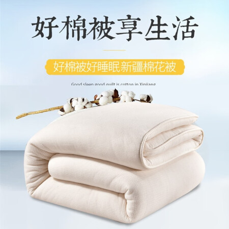 兰芮（Lanrui） 被子被芯100%新疆棉花被空调被夏凉被...