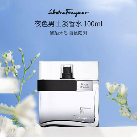 菲拉格慕（Ferragamo）夜色男士淡香水100ml 木质...