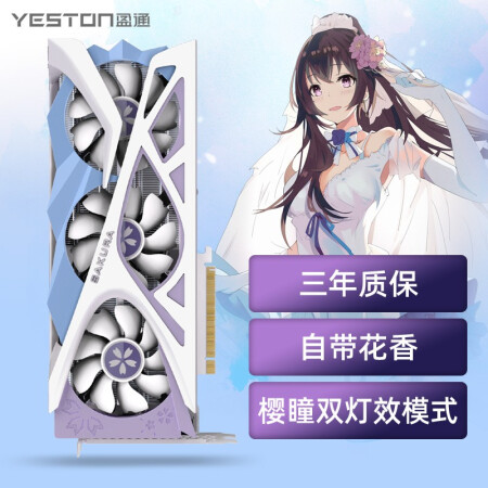 盈通（yeston）AMD RADEON RX 6750XT...
