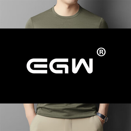 EGW国际高端品牌短袖t恤男夏季薄款速干圆领冰丝半袖宽松休闲...