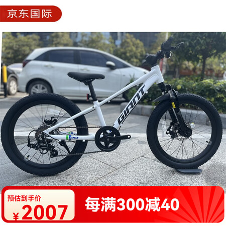 捷安特（GIANT）全新XTC20-D铝合金双碟刹儿童山地自...