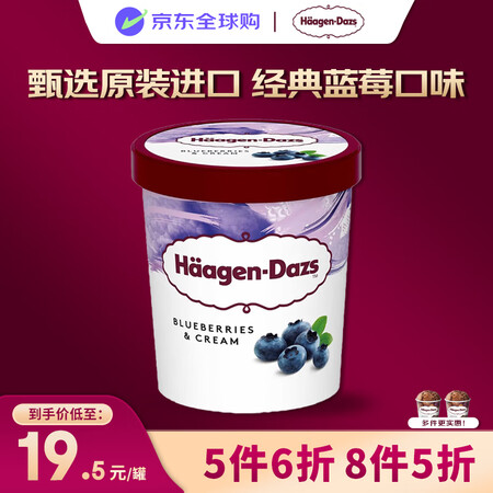 哈根达斯（Haagen-Dazs）冰淇淋 蓝莓口味冰激凌10...