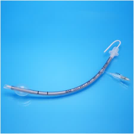Path Tubes Guide Reformed Display Trace Tube - Guide Wire - 2.5 ประเทศไทย | Ubuy