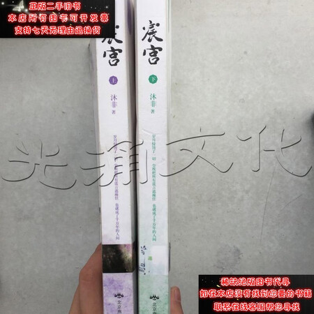 【二手9成新】宸宫上下册9787540232337