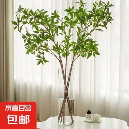 北欧简约玻璃花瓶透明植物插花瓶水培容器客厅摆件 生态插花花瓶...