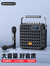 山水(SANSUI) T1手提音响高低音户外蓝牙音箱 大音量广场舞唱歌k歌直播声卡乐器音箱无线话筒 高品质【双话筒版】