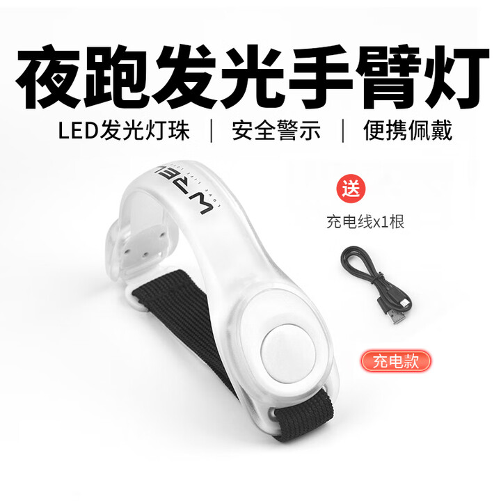 瑞尔士夜跑发光手臂带led运动手环骑行安全灯绑腿束裤带警示跑步手臂灯 升级彩色变光（充电款） 大码（推荐体重140斤以上）