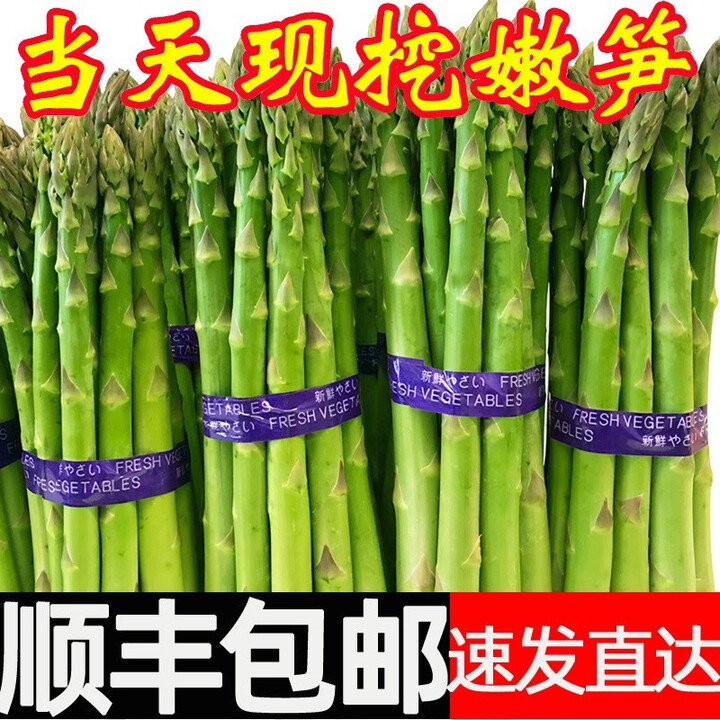 甘贤(GANXIAN)当季现挖芦笋【顺丰锁鲜】新鲜嫩芦笋 现摘笋青芦笋绿笋 3斤大笋【图片 价格 品牌 报价】-京东
