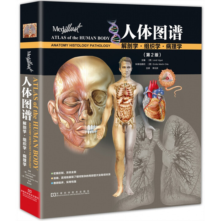 《正版 奈特人体图谱解剖学组织学病理学第2版精微生物解剖学图谱 格氏局部人体解刨彩色学图谱法医学》【摘要 书评 试读】- 京东图书