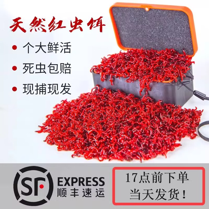 特大红虫活饵鲜活黑坑拉饵当日送活体秋冬野钓黑头公虫鲫鱼饵料 【顺丰】 中号公虫250g干净鲜活【图片 价格 品牌 报价】-京东