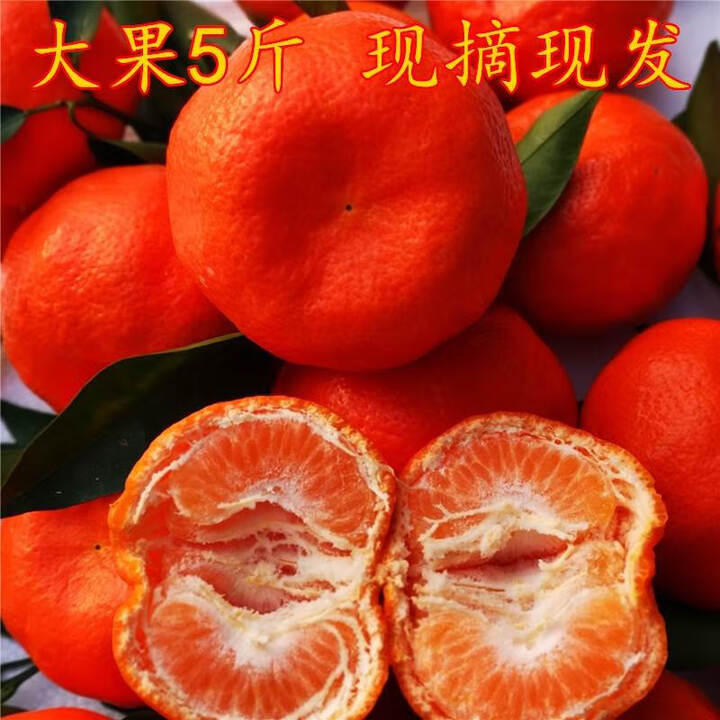 莱财多四川红橘万州古红桔新鲜川红柑橘古老树陈皮万县四川大 9斤精品大果装（可做陈皮）【图片 价格 品牌 报价】-京东