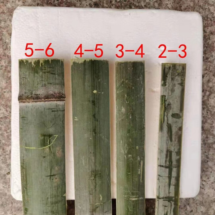 毛竹片楠竹片竹子竹条竹篱笆 竹批竹子拱棚竹材工地用农用竹子片 2-3厘米宽2.5米长的48片【图片 价格 品牌 报价】-京东