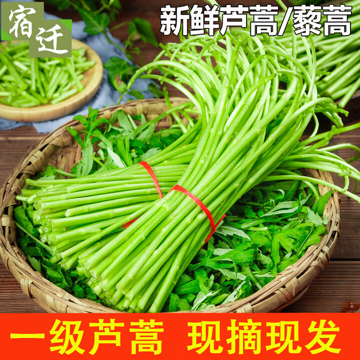 现摘现发篱蒿去叶茼蒿当季芦蒿新鲜黎蒿有机蔬菜野菜藜蒿鲜嫩泥蒿 芦蒿 1斤【图片 价格 品牌 报价】-京东