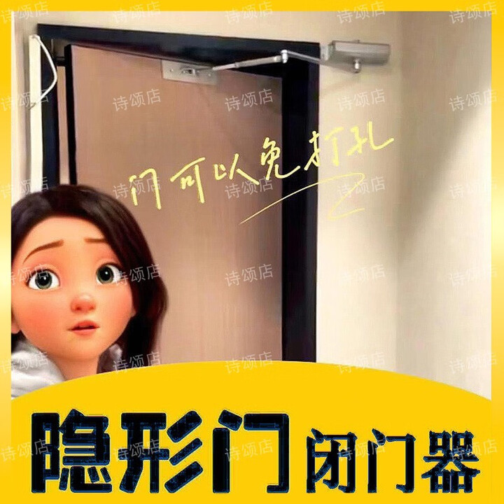 诗颂6内开隐形门闭门器隐藏门专用闭合器木门暗门外门开门关门缓冲器 门洞深度30cm以上【图片 价格 品牌 报价】-京东